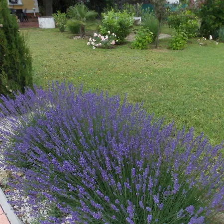 Eden Apartmanhaz アパート