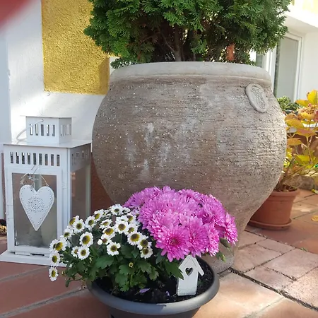 Eden Apartmanhaz Διαμέρισμα