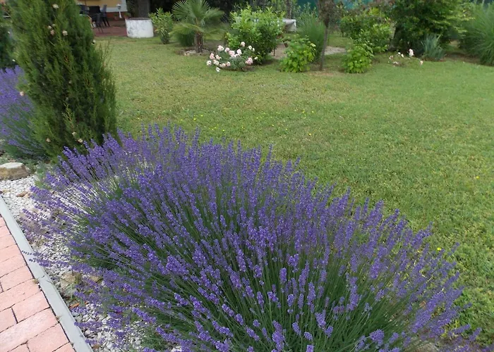 Eden Apartmanhaz Appartement